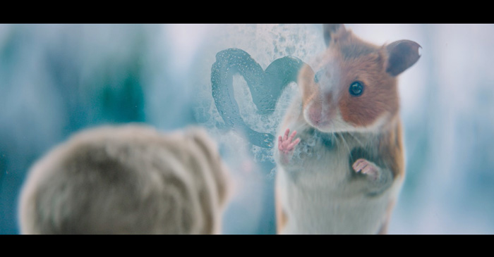 albert heijn kerstreclame1