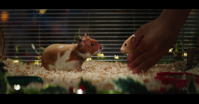 albert heijn kerstreclame2