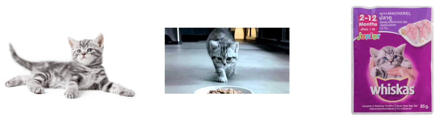 brand-assets-whiskas-kat-verpakking.jpg