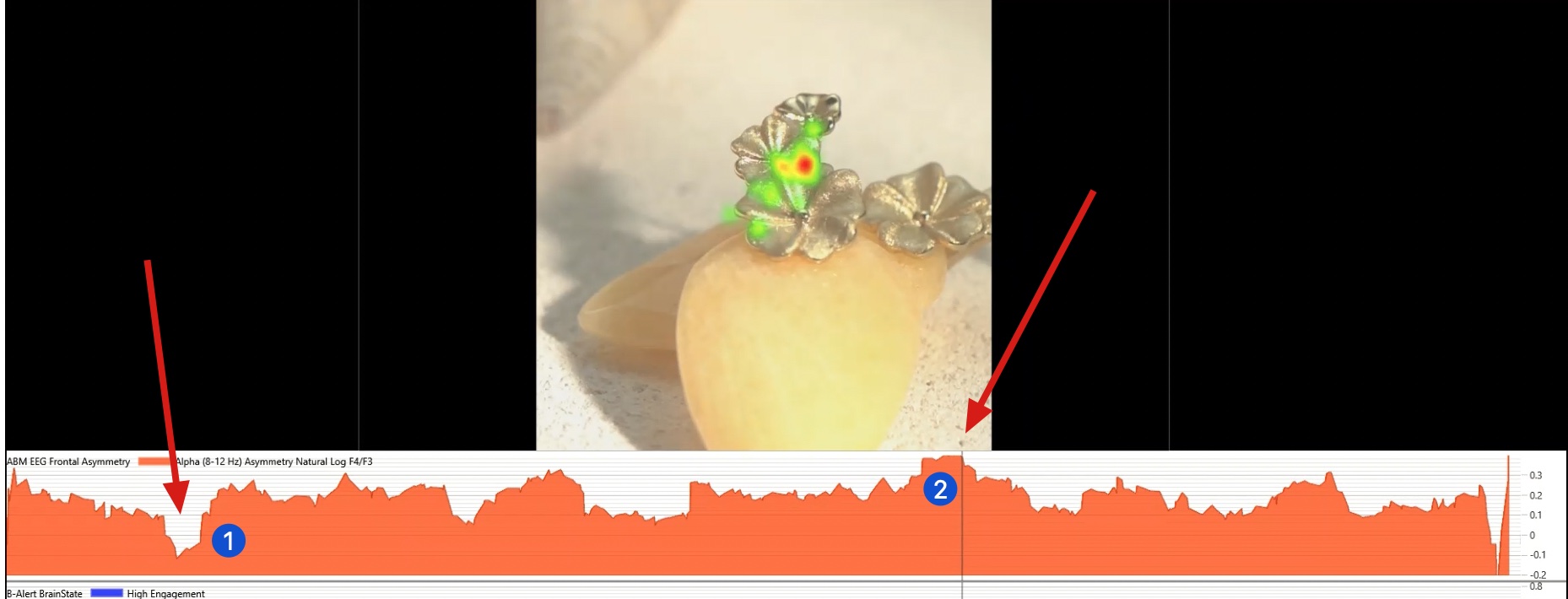 neuro data naar roi blog